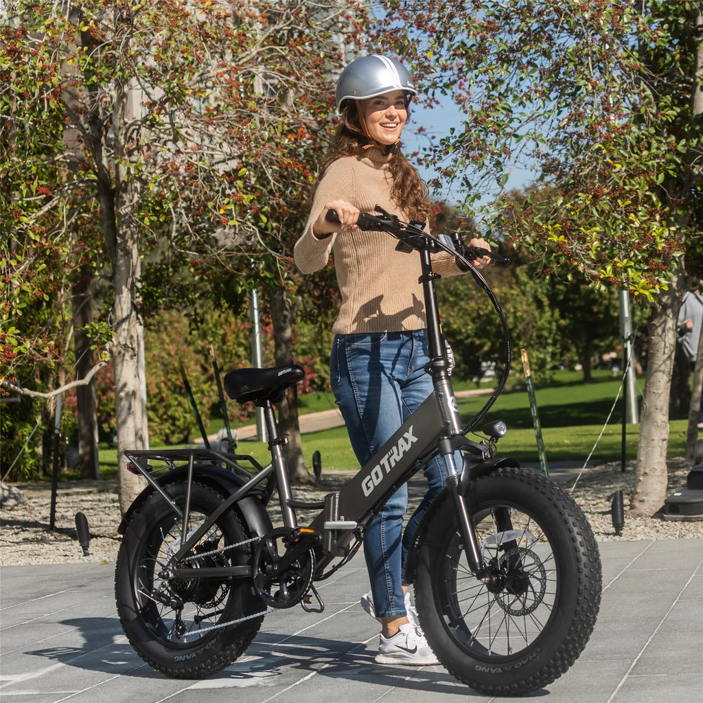 500W Fat Tire Folding Electric Bike T18530
