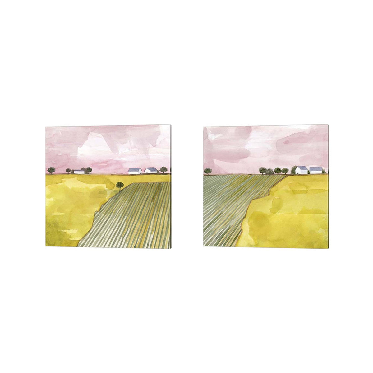 2 Piece Canvas Art Set 14 x 14 G72057